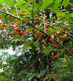 20070621-00.JPG