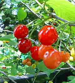 20070621-01.JPG