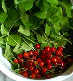 20070621-02.JPG