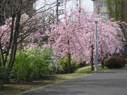 20080407-00.JPG
