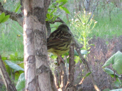 20080513-00.JPG