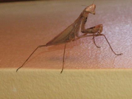 20080911-00.JPG