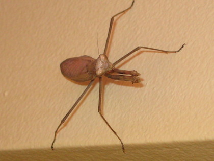 20080911-01.JPG