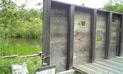 20090610-04.JPG