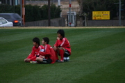 20070203-01.JPG