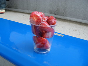 20070415-07.JPG