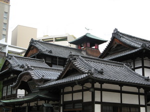 20071029-11.JPG