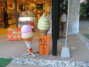 20071029-24.JPG