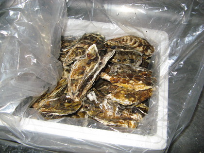 20071222-00.JPG