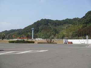 南国だ～