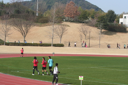 のどかな光景