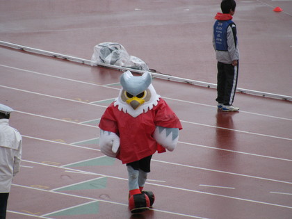 カッパも素敵