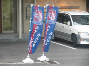 ちょっと羨ましい
