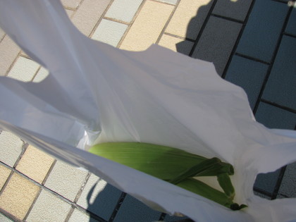 むふふふ