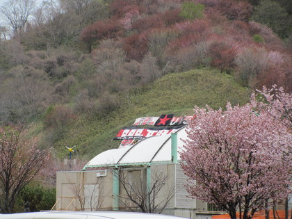 山が見えてきました