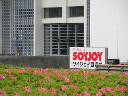 ソイジョイです