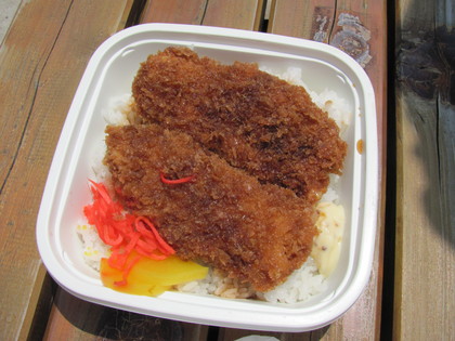 カツ乗せごはん？
