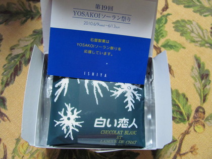 こんなサイズです