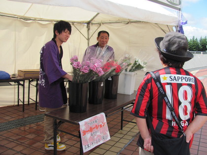 当別のカーネーションも