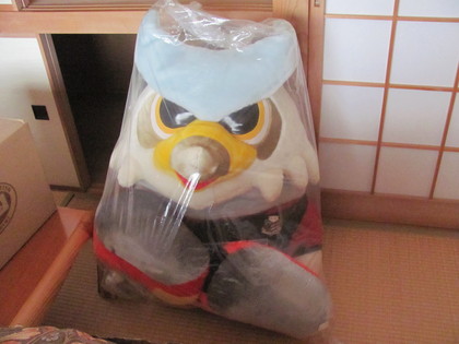 窮屈なかっこですけど