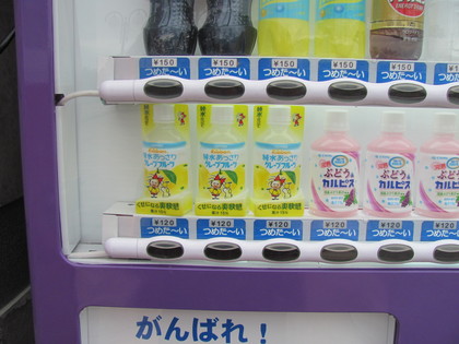 リボンちゃん