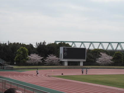 スタジアムホーム側