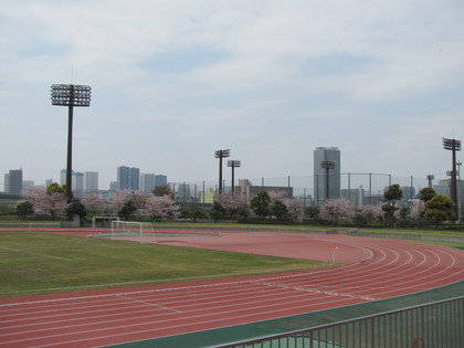 アウェイ側も桜