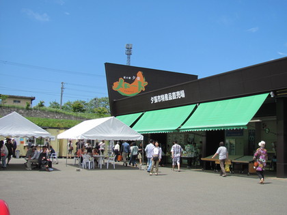 やっぱり来ちゃった