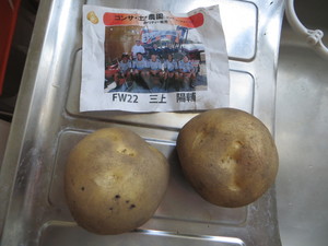 陽輔のおいも