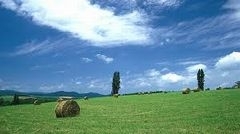 北海道