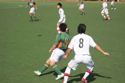 近くで見るといっそう楽しい