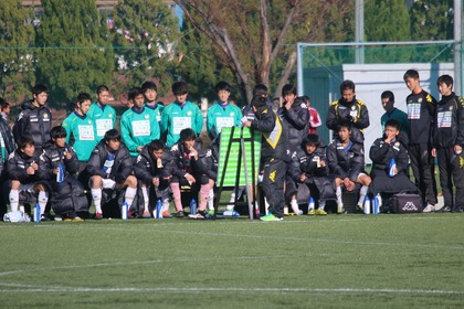 裏面がピッチの模様