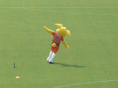 20080914-12.jpg