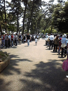 20100605-03.jpg