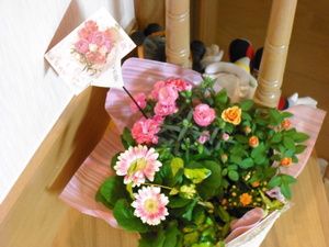 20080512-00.jpg