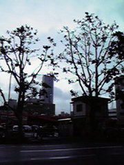 20080703-01.jpg