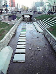 20110503-05.jpg