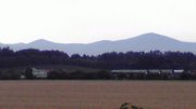 20110726-01.jpg