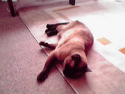 20120408-00.jpg