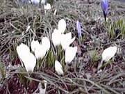 20120415-01.jpg