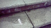 20120425-00.jpg