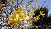 20120430-02.jpg