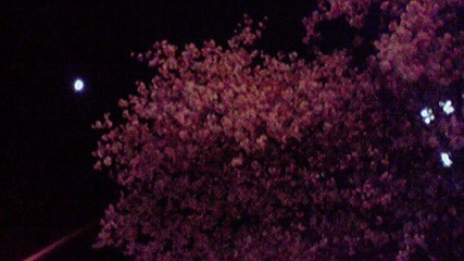 20120502-00.jpg