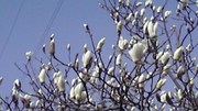 20120502-01.jpg