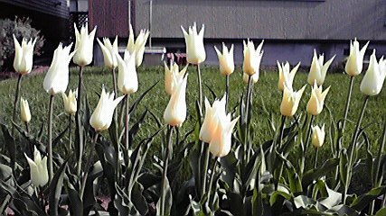 20120512-00.jpg