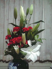 20120513-00.jpg