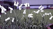 20120517-00.jpg