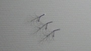20120519-02.jpg