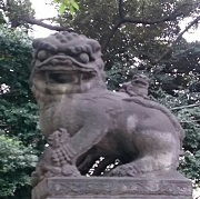 1493736261-_20170427_172417.JPG