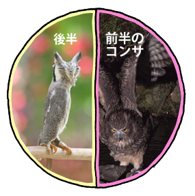 べつやくメソッド_2015_41